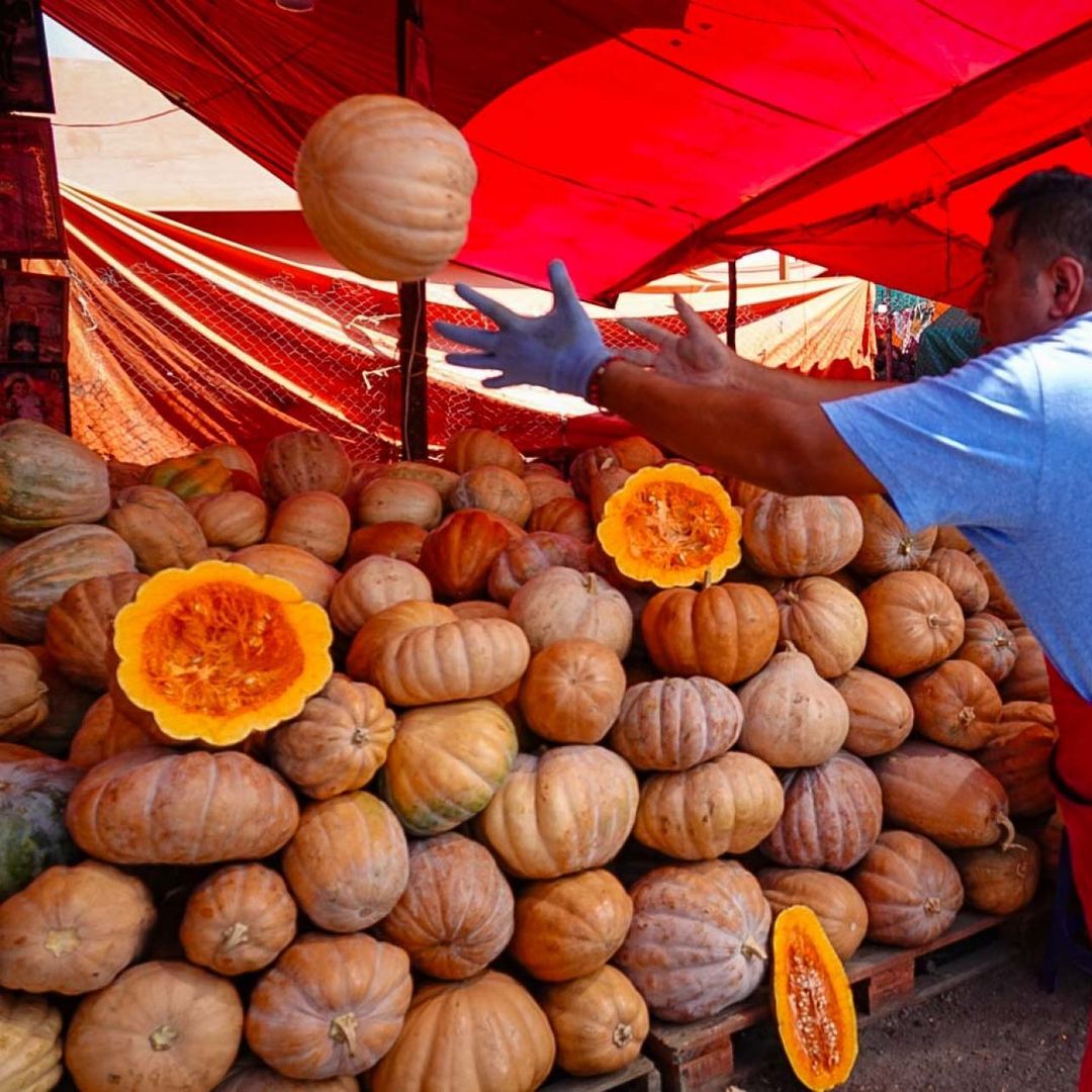 Venta de calabaza